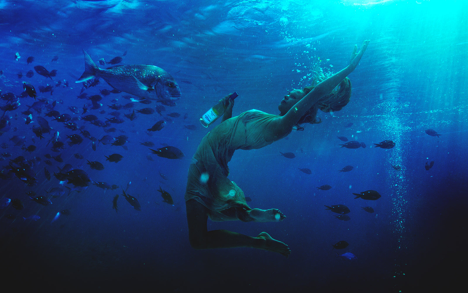 The Drowsy Fish, Sauvignon Blanc from Nelson, New Zealand